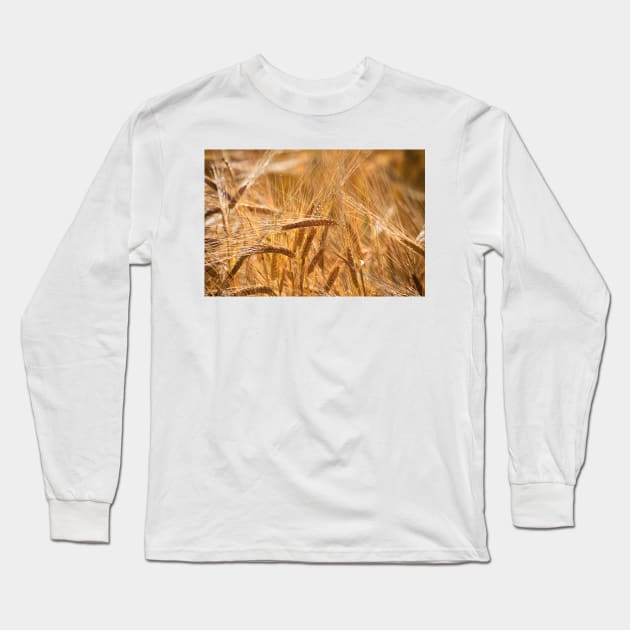 Golden Barley Long Sleeve T-Shirt by Violaman